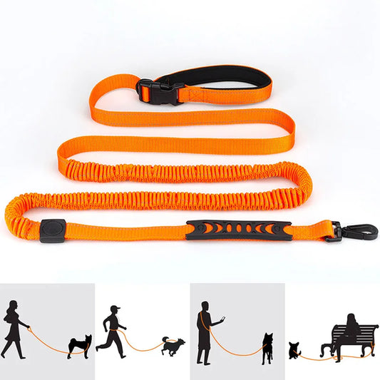 sPAWrkle™ Hands-Free Dog Leash