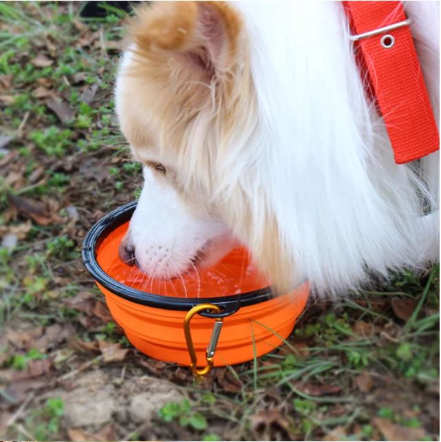 sPAWrkle™  Portable Folding Silicone Bowl